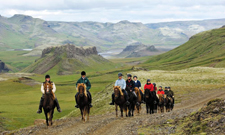 Iceland-East and South-Eastern Symphony - Horses and Puffins